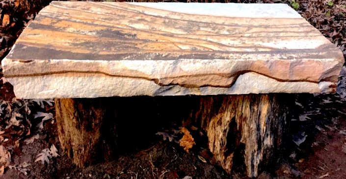 Sandstone Bench on Locust Trunks, North Carolina 2017